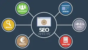 Seo Kurz Online